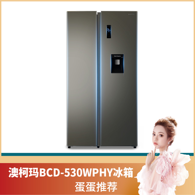 yr012蛋蛋推荐澳柯玛bcd530wphy双门